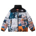 ski scene NF coat