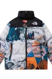 ski scene NF coat